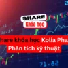 Share khóa học Phân tích kỹ thuật Kolia Phan