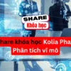 Share khóa học Phân tích vĩ mô Kolia Phan