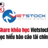 Share khóa học Vietstock Đọc hiểu báo cáo tài chính