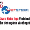 Share khóa học Vietstock Phân tích ngành và dòng tiền