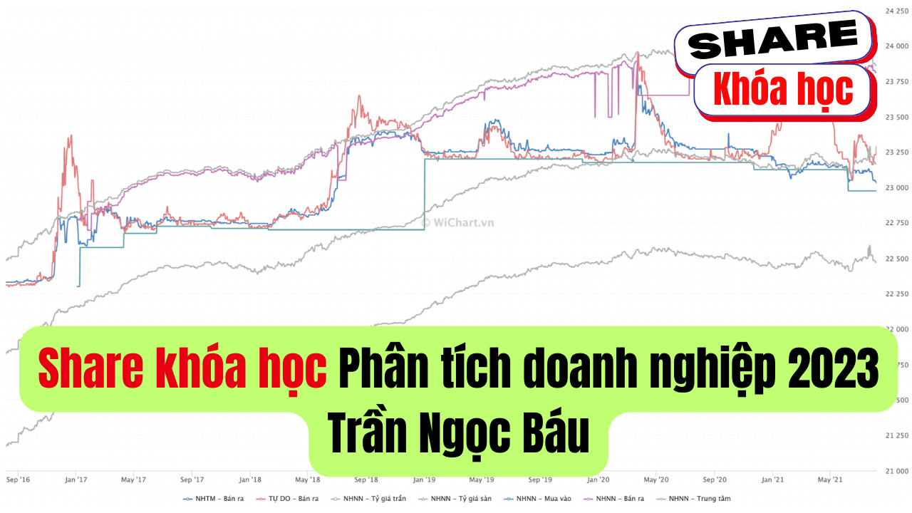 Share khóa học Trần Ngọc Báu Phân tích doanh nghiệp 2023